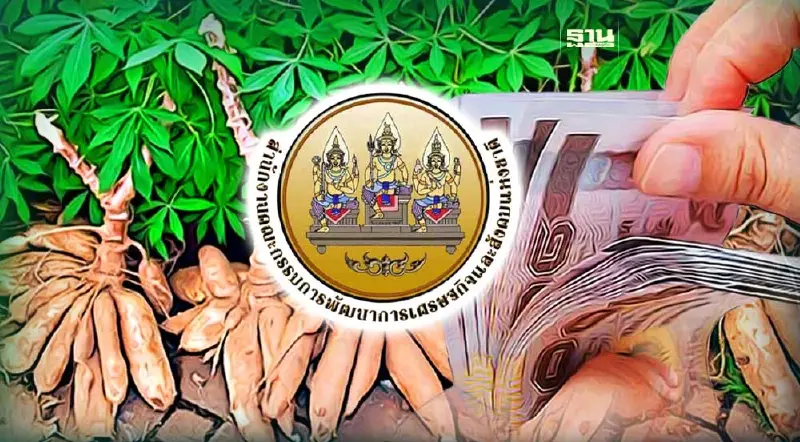 "มาตรการชะลอเก็บเกี่ยวมันสำปะหลัง" 66/67 สำนักงบ-สศช. เตือนใช้เงินรอบคอบ