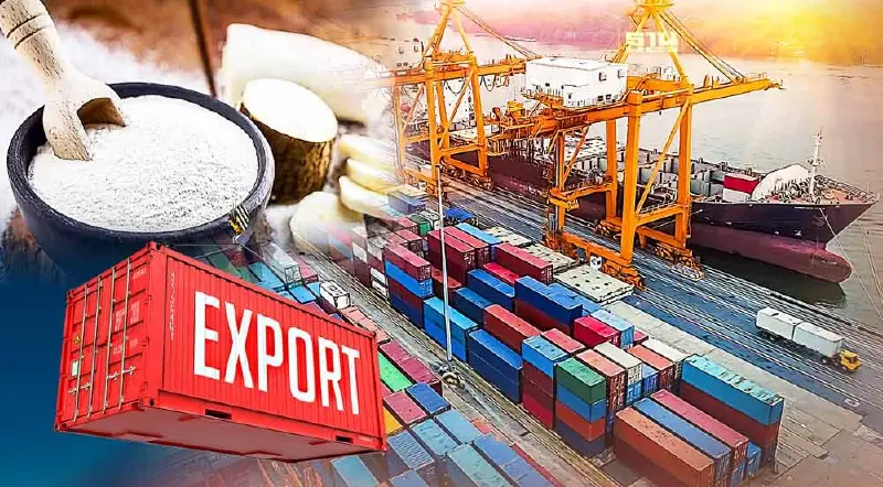 ส่งออกผลิตภัณฑ์มันสำปะหลังไตรมาส 1 หดตัว เร่งพัฒนาสินค้าใหม่เพิ่มรายได้