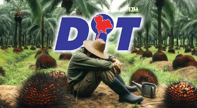 พาณิชย์ สั่งโรงสกัดรับซื้อปาล์มไม่ต่ำกว่า 4.50 บาท/กก.