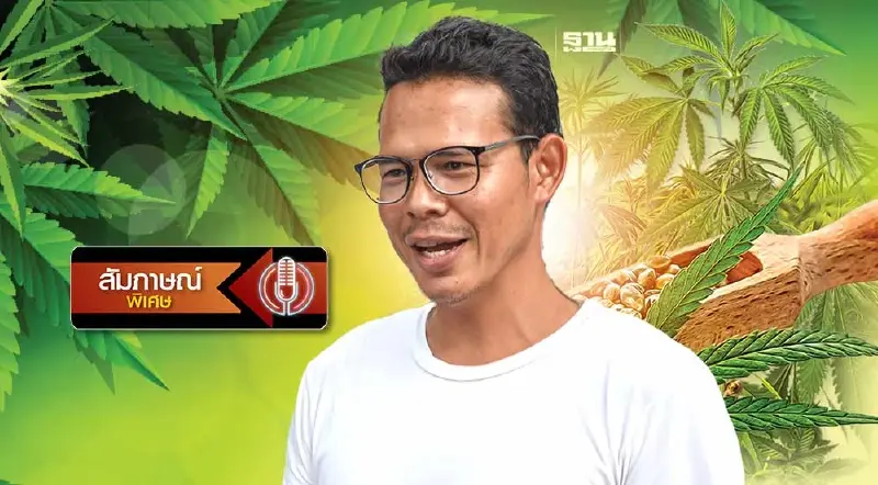 ขบวนการสร้างกัญชาเป็นผู้ร้าย ดึงกลับเป็นยาเสพติดเอื้อนายทุน