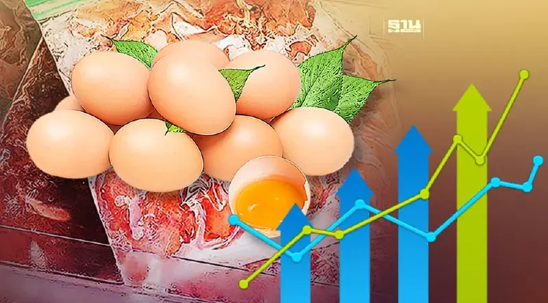 พาณิชย์ ถก ทูตสิงคโปร์ ดันเนื้อสัตว์แช่แข็ง-ไข่ออแกนิค
