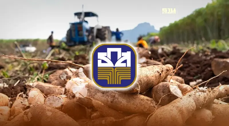 ธ.ก.ส.จัดสินเชื่อ 3,255 ล้าน ดอกเบี้ยต่ำ 1% หนุนชาวไร่ชะลอเก็บเกี่ยวมันสำปะหลัง