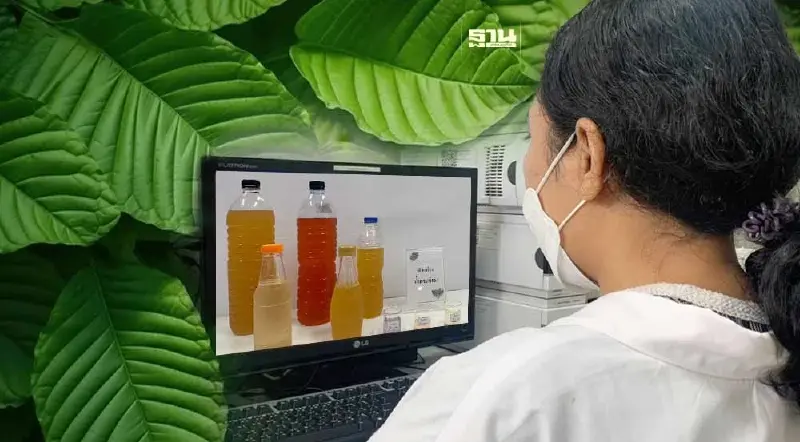 ดื่มน้ำกระท่อมเสี่ยงอันตราย พบสารตกค้าง-ปนเปื้อนจุลินทรีย์เกินมาตรฐาน