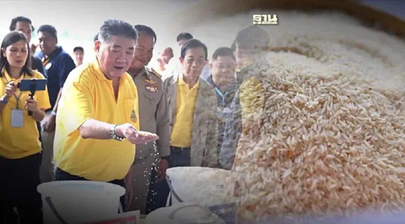 "ภูมิธรรม" เตรียมนำข้าวโครงการรับจำนำเก็บ 10 ปีออกประมูลพฤษภาคมนี้ "ภูมิธรรม" เตรียมนำข้าวโครงการรับจำนำเก็บ 10 ปีออกประมูลพฤษภาคมนี้