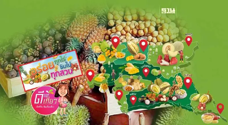 เริ่มแล้ว ‘ฤดูผลไม้’  ททท.ชวนอร่อยทุกไร่ชิมไปทุกสวน 9 จังหวัด ภาคตะวันออก