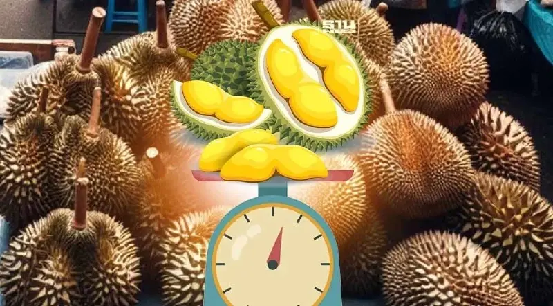 ราคาทุเรียนหมอนทองตลาดสี่มุมเมือง วันนี้ 18 พฤษภาคม 2567 ขายกิโลละกี่บาท