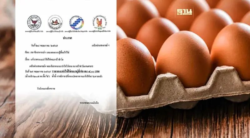 ผู้บริโภคอ่วม พรุ่งนี้ราคาไข่ไก่ ปรับขึ้นอีก แผงละ 6 บาท ผู้บริโภคอ่วม พรุ่งนี้ราคาไข่ไก่ ปรับขึ้นอีก แผงละ 6 บาท