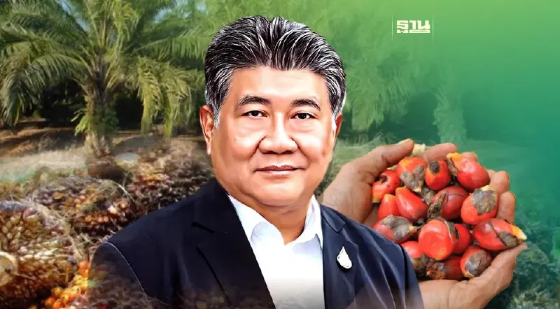 ราคาปาล์มร่วงหนัก "ภูมิธรรม" สั่งลงพื้นที่ไล่เช็ค คุมลานเท-โรงสกัด กดราคา