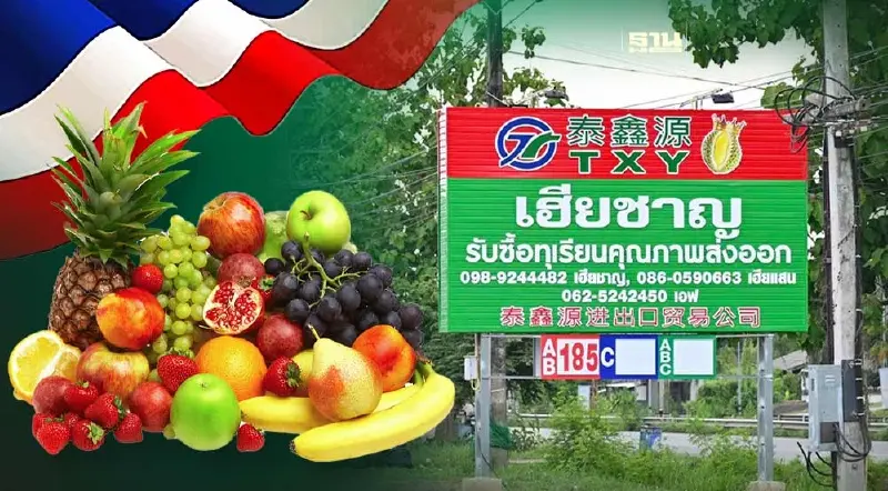 ปีทองผลไม้ไทย ทุเรียนราคาสูงสุดเป็นประวัติการณ์ ตลาดส่งออกรับซื้อทุกเกรด