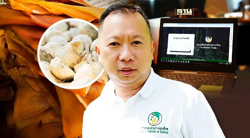 เปิดหลักเกณฑ์ซื้อขายยาง EUDR ผ่านตลาดกลาง รับอานิสงส์อียูบังคับใช้มาตรการ