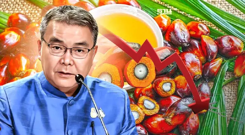 รัฐบาล งัดไม้แข็งแก้ “ราคาปาล์มตกต่ำ” สั่งผู้ค้าซื้อน้ำมันตามราคาอ้างอิง