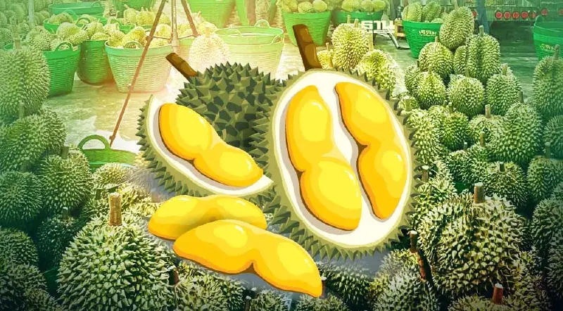 ราคาทุเรียนวันนี้ 2567 ตลาดสี่มุมเมืองขายทุเรียนกิโลละกี่บาทตรวจสอบด่วน