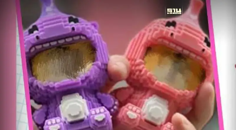 บุหรี่ไฟฟ้ารุ่นใหม่ GEN 5 อันตรายไม่น้อยไปกว่าการสูบบุหรี่มวน บุหรี่ไฟฟ้ารุ่นใหม่ GEN 5 อันตรายไม่น้อยไปกว่าการสูบบุหรี่มวน