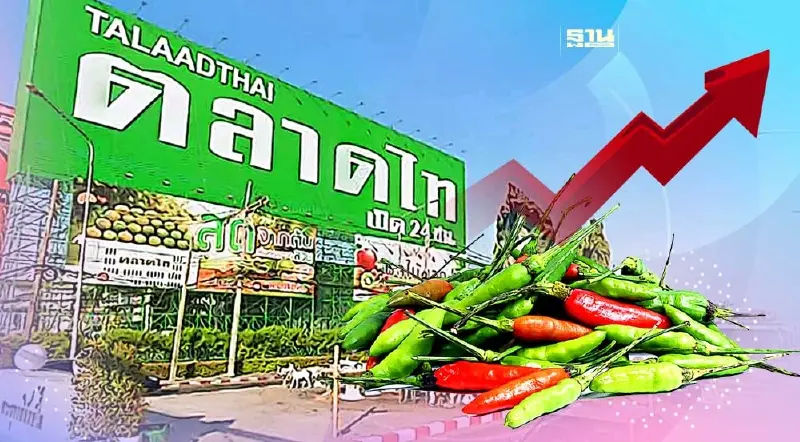 ราคาพริกขี้หนูสวนตลาดไทวันนี้ หลังราคาพุ่ง 650 บาท ขายกิโลละกี่บาท