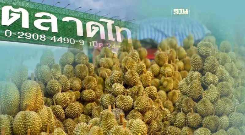 “ตลาดไท” ขนทุเรียนหลากสายพันธุ์จัดใหญ่ “เทศกาลทุเรียนและผลไม้ไทย”
