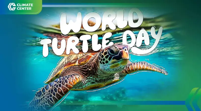 23 พฤษภาคมของทุกปี “วันเต่าโลก (World Turtle Day)”