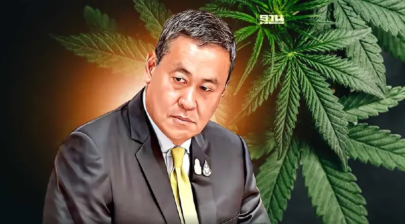 "นายกรัฐมนตรี"  ขีดเส้นภายในสิ้นปี ดึง "กัญชา" กลับมาเป็นยาเสพติด