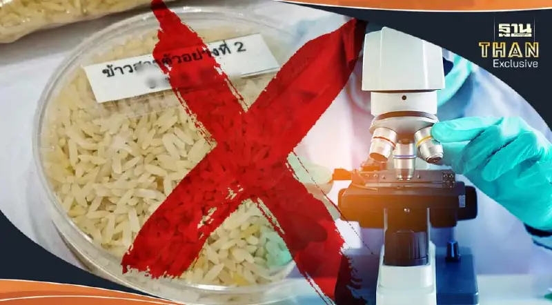 ฮือฮา ประมูลข้าว 10 ปี อคส.ให้ตรวจสอบคุณภาพ ด้วยสายตาเท่านั้น ห้ามวิธีอื่น