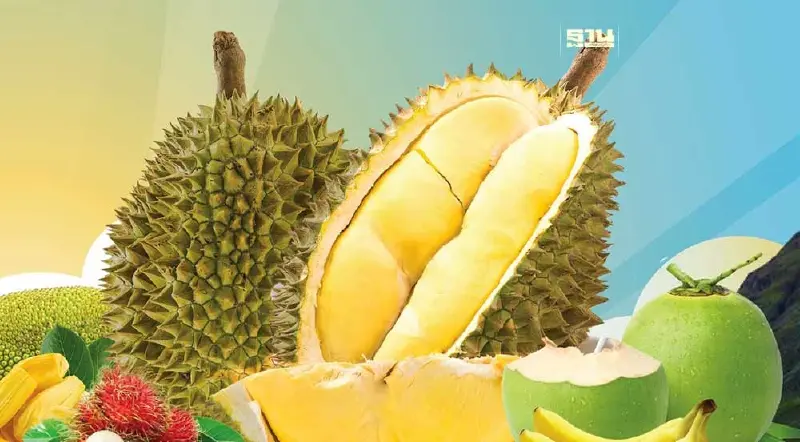 บุฟเฟต์ทุเรียนหมอนทอง ธัญญาพาร์ค วันนี้ -11 มิ.ย.67