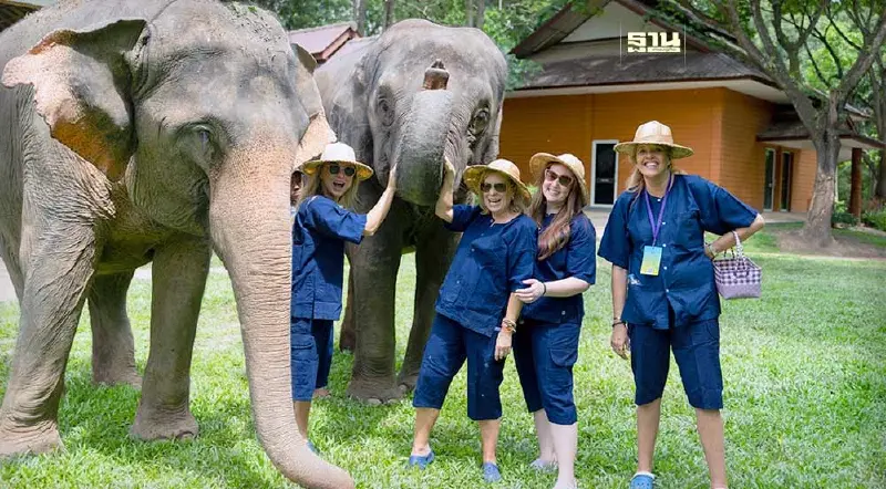 ทีเส็บชูศักยภาพ "เชียงใหม่ไมซ์ซิตี้" เมืองแห่งการประชุม-พักผ่อน