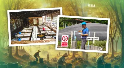 "เชฟรอน" อัด 4.5 ล้าน หนุนสหกรณ์ยูงทอง ผลิตยางคาร์บอนต่ำ แห่งแรกของไทย