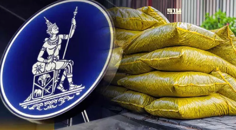 แบงก์ชาติ แนะเพิ่มขีดแข่งขันข้าวไทยต่อยอดโครงการ"ปุ๋ยคนละครึ่ง"