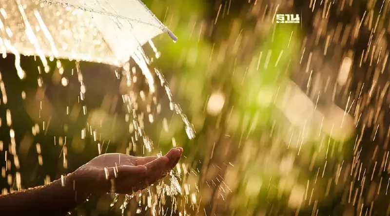 ประกาศกรมอุตุฯเตือน 53 จว.ฝนตกหนักถึงหนักมากวันที่ 25-26 มิ.ย.67