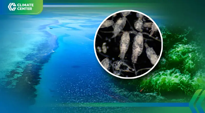 มหาสมุทรทั่วโลกเปลี่ยนสี ความสมดุลในทะเลเปลี่ยนไป เพราะโลกร้อน มหาสมุทรทั่วโลกเปลี่ยนสี ความสมดุลในทะเลเปลี่ยนไป เพราะโลกร้อน