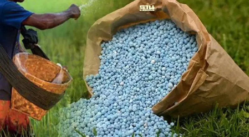 ลงทะเบียนโครงการปุ๋ยคนละครึ่ง ผ่านแอปฯ ธ.ก.ส. BAAC Mobile เริ่ม 15 ก.ค.นี้