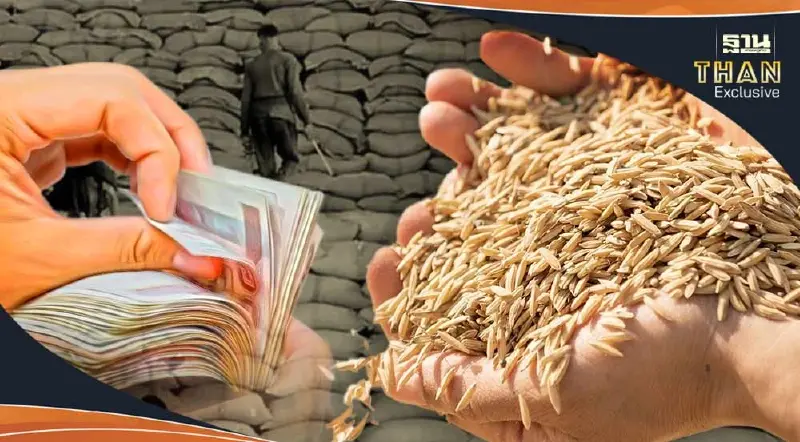 เจาะงบ “วีเอท อินเตอร์เทรดดิ้ง” 3 ปีกำไร 1.6 แสน ยื่นประมูลข้าว 10 ปี 286 ล้าน