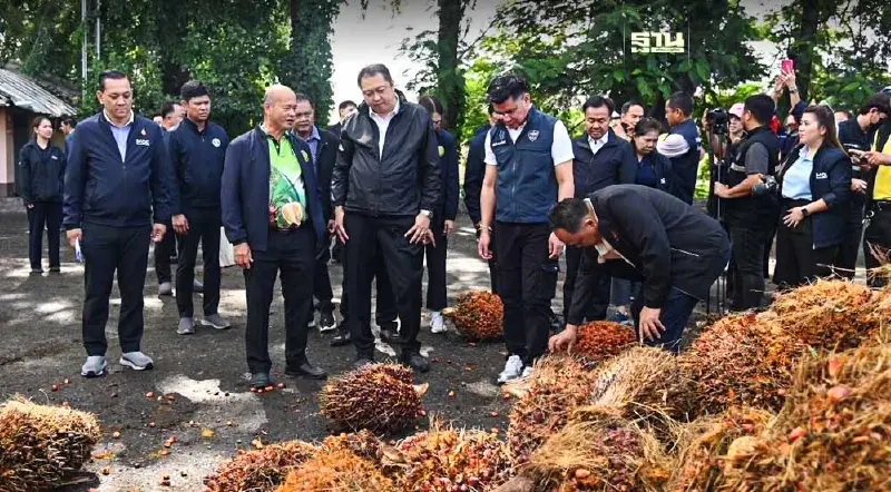 “สุชาติ” ลงพื้นที่ชุมพร คุมเข้มราคาปาล์มน้ำมัน -รับมือทุเรียนใต้