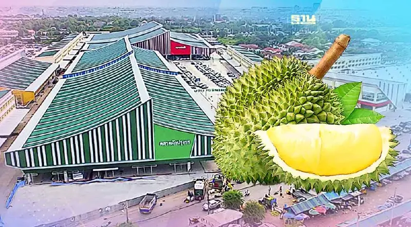"ราคาทุเรียนวันนี้" 2 มิถุนายน 2567 ตลาดสี่มุมเมืองขายกิโลละกี่บาท