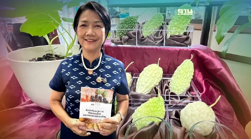 “อภัยภูเบศร”ชู“มะระขี้นก”สยบเบาหวานได้จริงมีงานวิจัยรับรอง