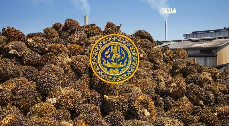 จ่อประกาศขึ้นทะเบียน ลานเท-โรงสกัด ดัดหลังพ่อค้าคนกลาง กดราคาปาล์มตกต่ำ