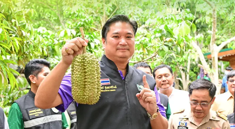 ยัน"ทุเรียนภาคเหนือ" ได้มาตรฐานส่งออก