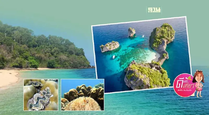 สวยยืนหนึ่งโลกใต้ทะเล เกาะรอก-เกาะห้า ราชินีแห่งอันดามัน อัญมณีเกาะลันตา สวยยืนหนึ่งโลกใต้ทะเล เกาะรอก-เกาะห้า ราชินีแห่งอันดามัน อัญมณีเกาะลันตา