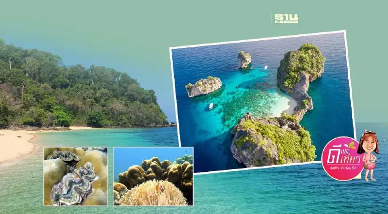 สวยยืนหนึ่งโลกใต้ทะเล  เกาะรอก-เกาะห้า  ราชินีแห่งอันดามัน อัญมณีเกาะลันตา