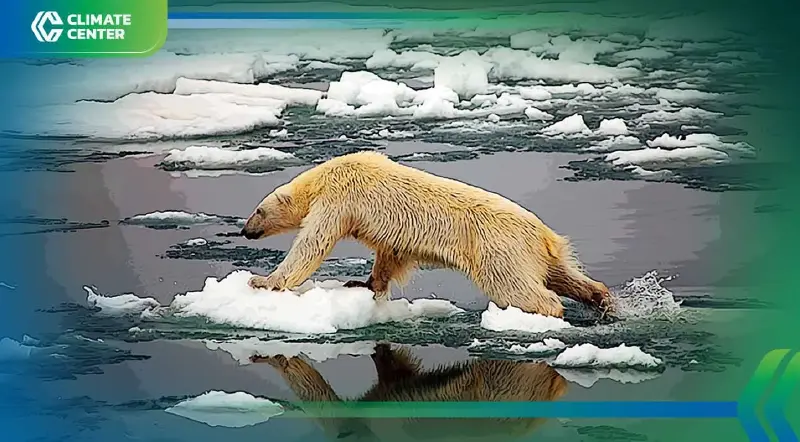 นักวิทย์เผยสาเหตุ "หมีขั้วโลก" หายไปจากอ่าวฮัดสันภายในอีกไม่กี่ปี