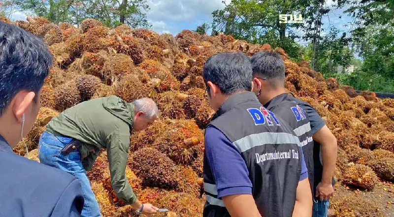 พาณิชย์ จัดสายตรวจพิเศษ ไล่เช็คลานเท-โรงสกัด 174 แห่ง คุมซื้อปาล์มน้ำมัน