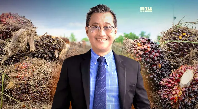 "ราคาปาล์มตกต่ำ"  ใครอยู่เบื้องหลัง มองตาปริบ มาเลเซียกิโลฯละ 7 บาท