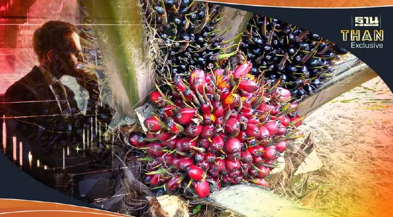 ชงครม.เศรษฐกิจ 10 มิ.ย. บี้ผู้ค้าน้ำมันซื้อ B100 แก้ราคาปาล์มตกต่ำ