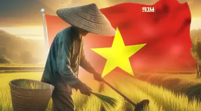 เวียดนามลุย 10 ล้านไร่ “ข้าวคาร์บอนตํ่า” ไทยแผนไม่ชัด ห่วงส่งออกอนาคตวูบ