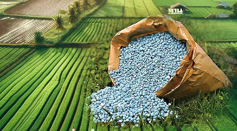 ปุ๋ยและชีวภัณฑ์ คนละครึ่ง  คืออะไร หลัง ครม.อนุมัติงบเกือบ 3 หมื่นล้านบาท