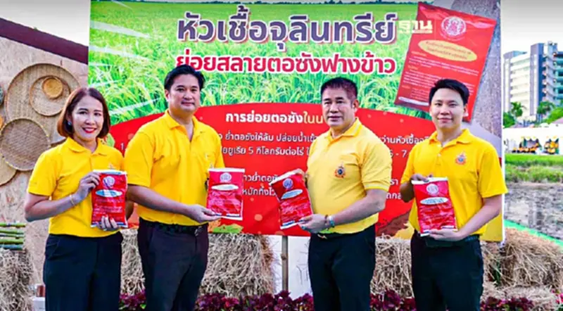 เกษตรฯ ดันนวัตกรรม ชีวภัณฑ์สลายตอซังในนาข้าว ช่วยลด PM2.5 มุ่งเกษตรรักษ์โลก เกษตรฯ ดันนวัตกรรม ชีวภัณฑ์สลายตอซังในนาข้าว ช่วยลด PM2.5 มุ่งเกษตรรักษ์โลก