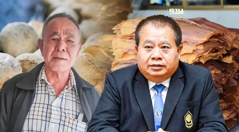 บิ๊กธุรกิจ เปิดศึกชิงยาง EUDR กยท.คุมเข้มแก๊งสวมสิทธิเกษตรกร