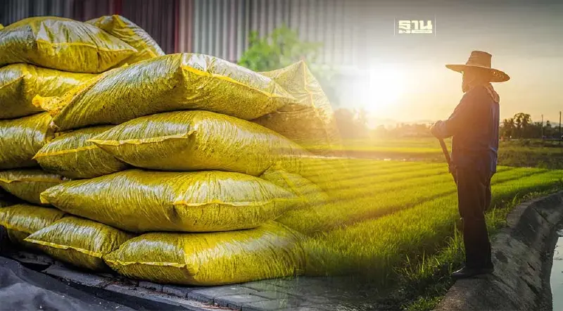 เช็กวิธีเข้าร่วมโครงการปุ๋ยคนละครึ่ง หลัง นบข.อนุมัติแล้ว