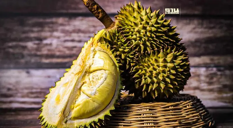 เช็คราคาทุเรียนวันนี้  5 มิถุนายน 2567 ตลาดสี่มุมเมืองขายกิโลละกี่บาท