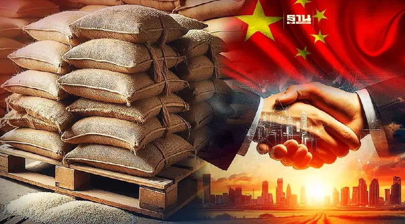 พบบริษัทชนะประมูลข้าว10ปี สัมพันธ์ลึก MOU ขายมันเส้นล็อตใหญ่จีน 5 แสนตัน