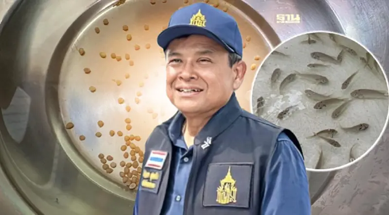 กรมประมงเร่งวิจัยพันธุกรรม ปล่อยปลาเป็นหมัน หยุดการแพร่ระบาดปลาหมอคางดำ กรมประมงเร่งวิจัยพันธุกรรม ปล่อยปลาเป็นหมัน หยุดการแพร่ระบาดปลาหมอคางดำ