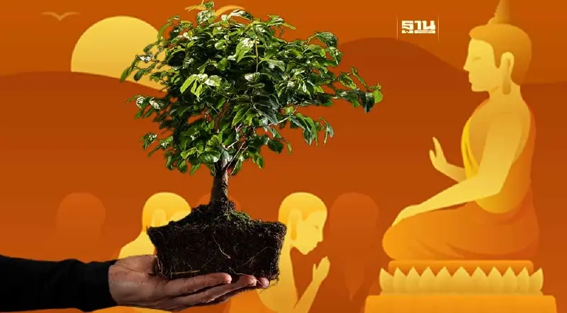 รวมพิกัด 190 วัด เวียนเทียนต้นไม้ วันอาสาฬหบูชา 2567